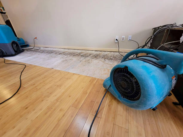 Professional Basement Flood Cleanup technician working in Calhoun, TN
